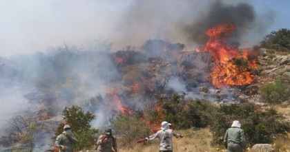 টানা সাত দিন ধরে দাবানলে পুড়ছে ইরান