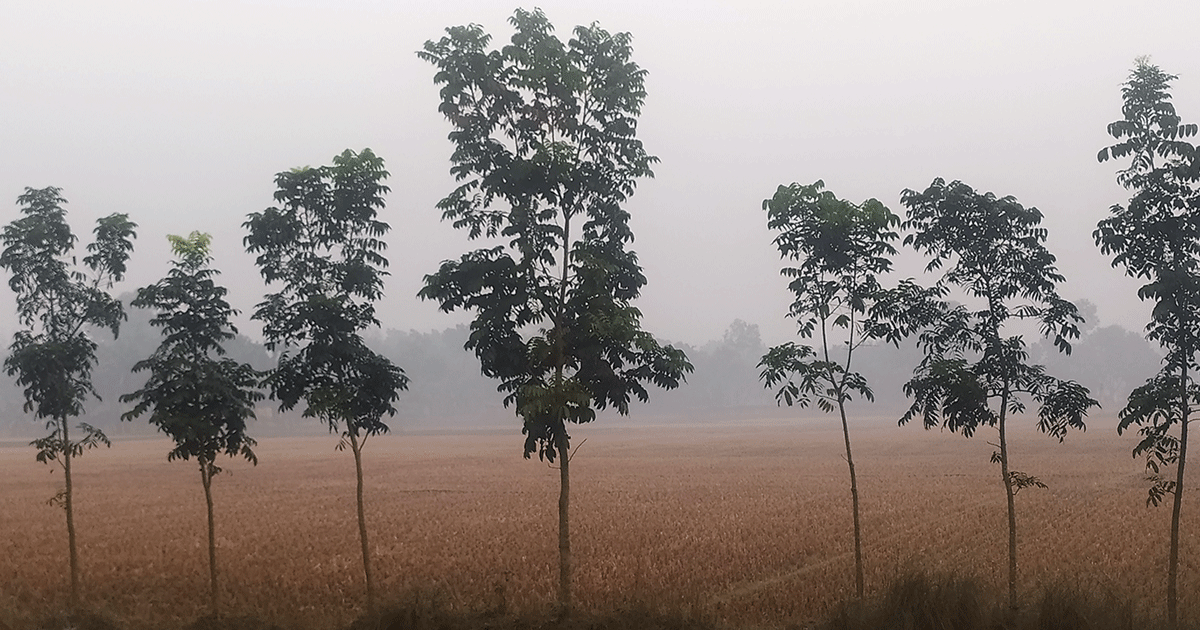 কনকনে শীতে কাঁপছে তেঁতুলিয়া; শৈত্যপ্রবাহের আভাস