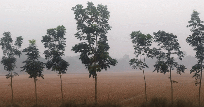 কনকনে শীতে কাঁপছে তেঁতুলিয়া; শৈত্যপ্রবাহের আভাস