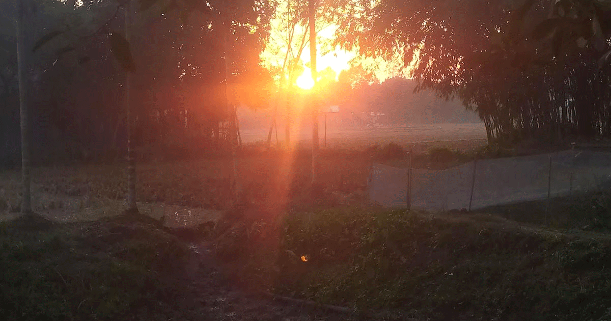 পঞ্চগড়ে ঝলমলে রোদেও শীতের প্রকোপ