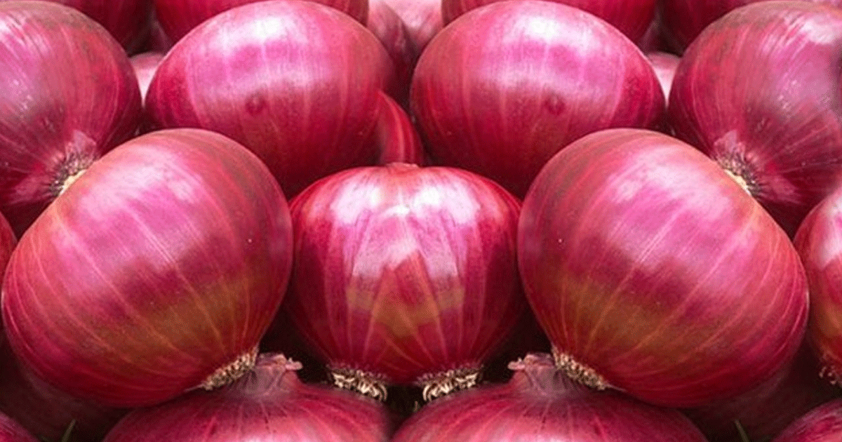 বাংলাদেশের কারণে কাঁদছে ভারতের পেঁয়াজ রপ্তানিকারকরা