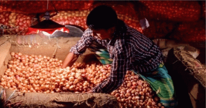 বাংলাদেশ যেভাবে ভারতের পেঁয়াজ রপ্তানিকারকদের ‘কাঁদিয়ে ছাড়ছে’