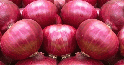 বাংলাদেশের কারণে কাঁদছে ভারতের পেঁয়াজ রপ্তানিকারকরা