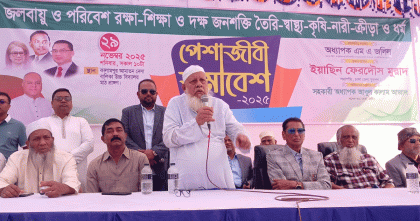 ধামরাইয়ে বিএনপির পেশাজীবী সমাবেশ