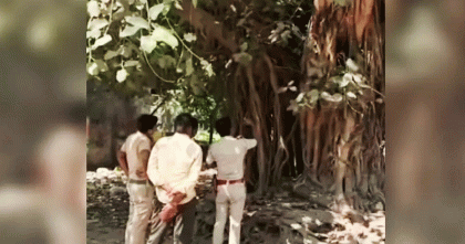 পশ্চিমবঙ্গে এসআইআর আতঙ্কে বটগাছে উঠলেন নারী