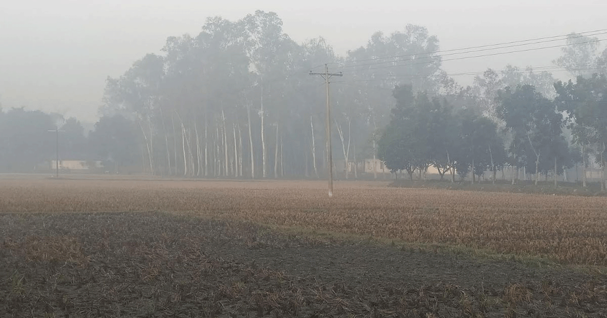 পঞ্চগড়ে টানা পাঁচ দিন তাপমাত্রা ১৩ ডিগ্রির ঘরে