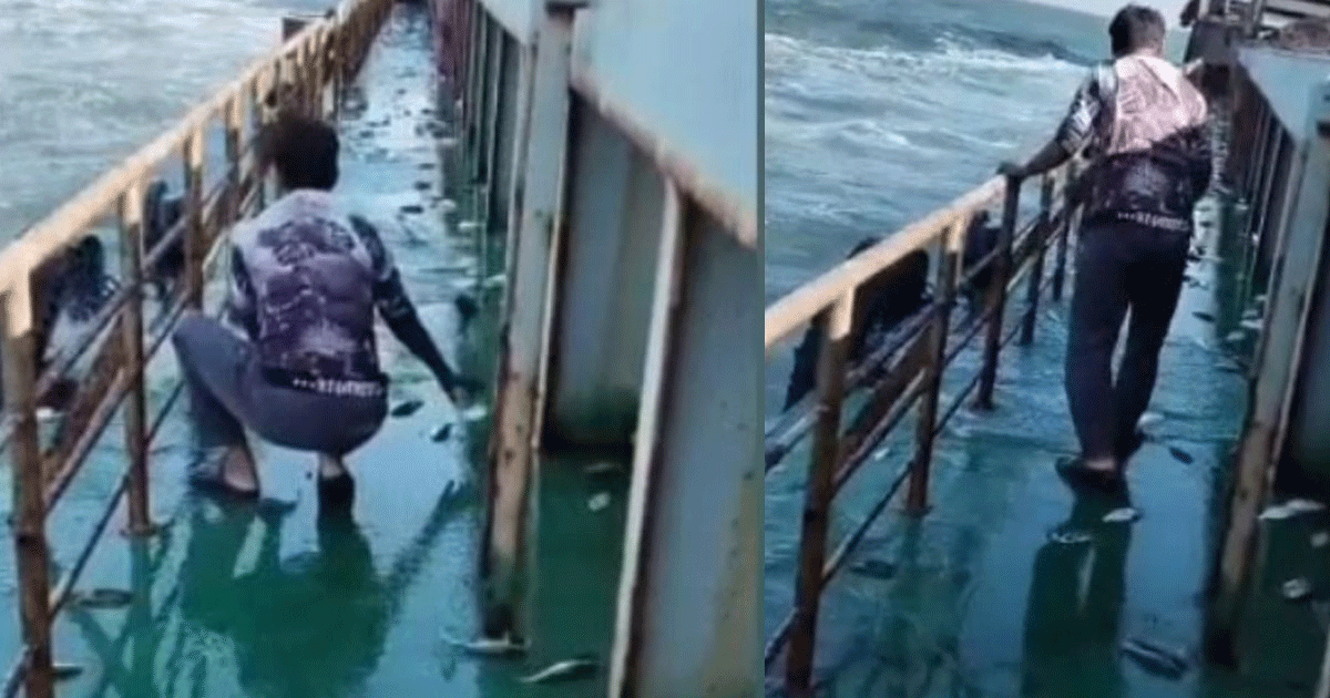 জাহাজের ডেকে উঠে এলো ঝাঁকে ঝাঁকে ইলিশ