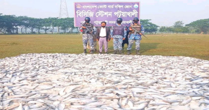 পটুয়াখালীতে ২৫ লাখ টাকার জাটকা জব্দ 