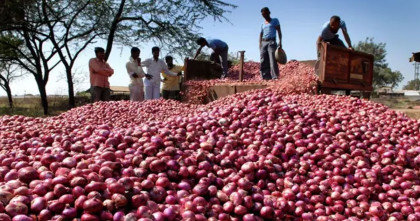 পেঁয়াজ বেচতে না পেরে ভারতের ক্ষতি ১১ শ’ কোটি রুপি