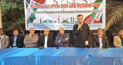 আমিরাতের ভিসা চালুর জন্য অপরাধের হার কমাতে হবে: রাষ্ট্রদূত তারেক আহমেদ