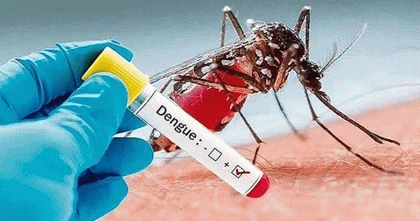 ডেঙ্গুতে ২৪ ঘণ্টায় পাঁচ জনের মৃত্যু