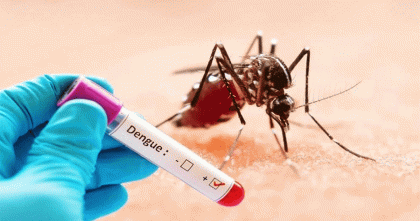 ডেঙ্গুতে আরও ৩ জনের মৃত্যু, হাসপাতালে ৫৬৫