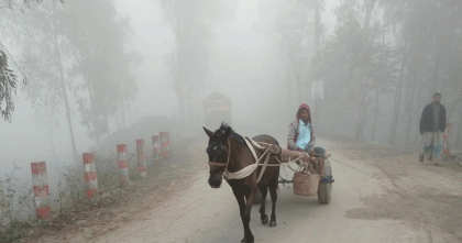 কুড়িগ্রামে বেড়েছে শীতের তীব্রতা