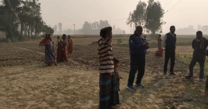 সুন্দরগঞ্জে কৃষকের ৫৫ শতক জমির ধান কেটে নিলো প্রতিপক্ষ