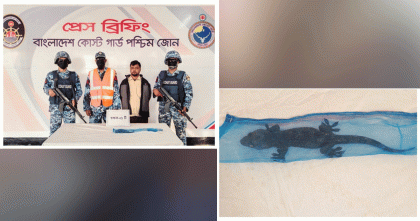 মোংলায় বিরল প্রজাতির তক্ষকসহ এক পাচারকারী আটক করেছে কোস্ট গার্ড