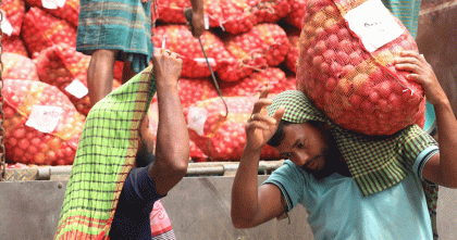 রবিবার থেকে সীমিত আকারে পেঁয়াজ আমদানির অনুমতি: কৃষি মন্ত্রণালয়ে