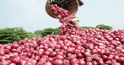 আজ থেকে পেঁয়াজ আমদানির অনুমতি দেবে সরকার