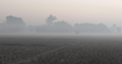 তেঁতুলিয়ায় তাপমাত্রা নয় ডিগ্রির ঘরে