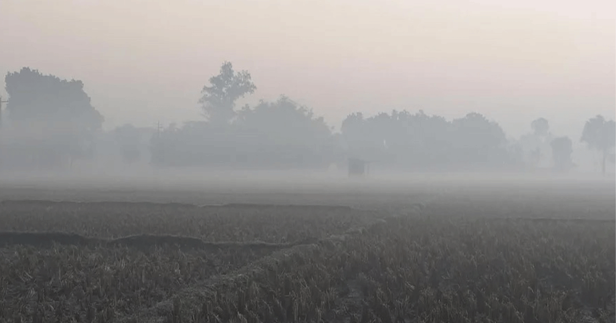 তেঁতুলিয়ায় টানা তিন দিন ধরে মৃদু শৈত্যপ্রবাহ