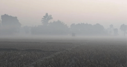 তেঁতুলিয়ায় টানা তিন দিন ধরে মৃদু শৈত্যপ্রবাহ