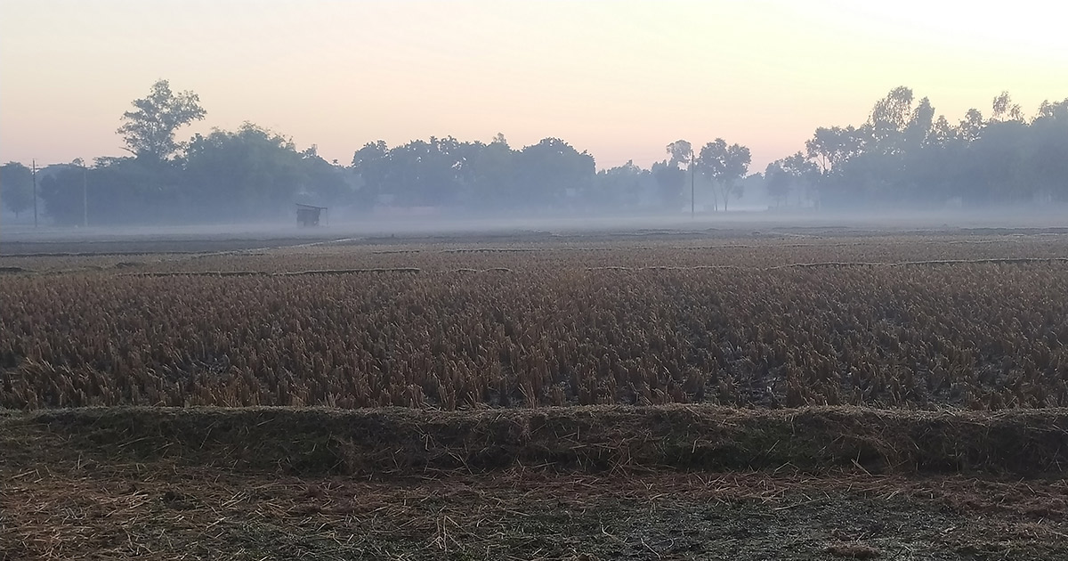 মৃদু শৈত্যপ্রবাহে কাঁপছে পঞ্চগড়ের তেঁতুলিয়া