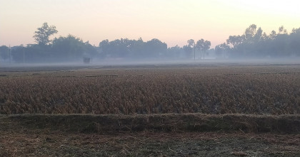 মৃদু শৈত্যপ্রবাহে কাঁপছে পঞ্চগড়ের তেঁতুলিয়া