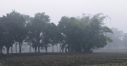 তেঁতুলিয়ায় তাপমাত্রা বাড়লেও কমেনি শীতের দাপট