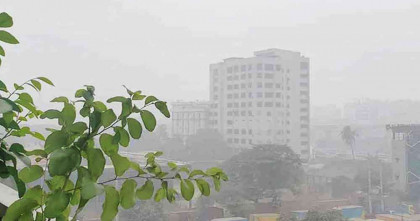 মাঝারি থেকে ঘন কুয়াশার সম্ভাবনা