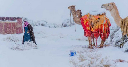 বিরল তুষারপাতের সাক্ষী হলো সৌদি আরব