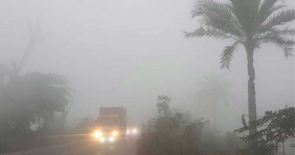 পটুয়াখালীতে গুঁড়ি-গুঁড়ি বৃষ্টির মতো ঝড়ছে কুয়াশা  