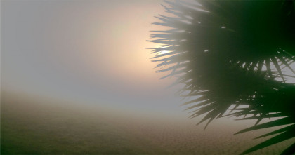 পটুয়াখালীতে ঘন কুয়াশার সঙ্গে তীব্র ঠান্ডা