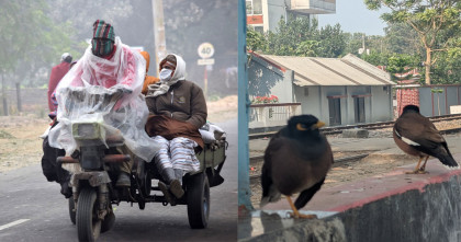 টানা শৈত্য প্রবাহে বিপর্যস্ত চুয়াডাঙ্গার জনজীবন 