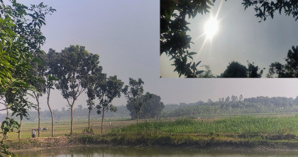 কুয়াশা ভেঙে ফিরল রোদ, শীতের কষ্টে স্বস্তির সকাল ফরিদপুরে