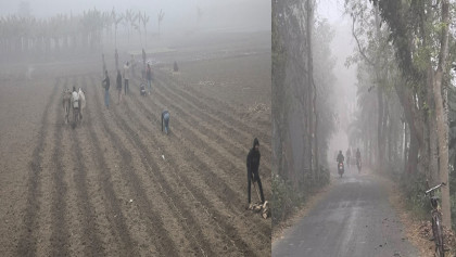 পৌষের শেষে হাড় কাঁপানো শীতে বিপর্যস্ত চুয়াডাঙ্গার জনজীবন