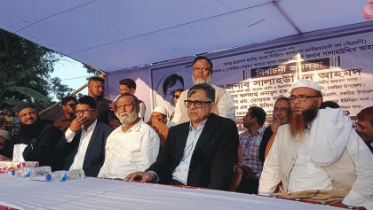 ধর্ম যার যার নিরাপত্তা পাওয়ার অধিকার সবার: সালাহউদ্দিন আহমদ