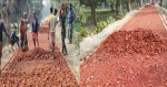 কোটি টাকার সড়ক নির্মাণে নিম্নমানের ইট ব্যবহারের অভিযোগ
