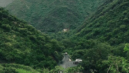 মদিনায় ২১ লাখ বৃক্ষরোপণ করল সৌদি সরকার