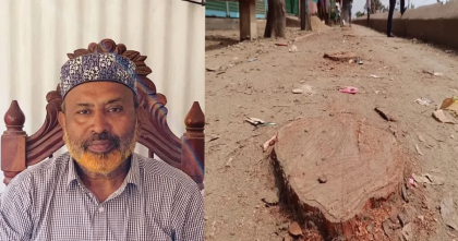 বিএনপি নেতার গাড়ি প্রবেশে অসুবিধা, কাটা হলো বেড়িবাঁধের ২০ গাছ