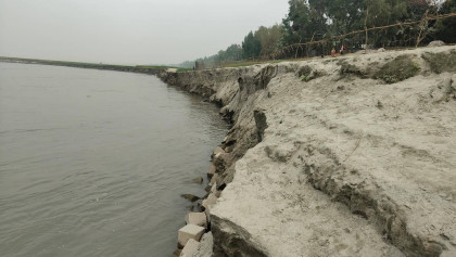 যমুনা নদীর ভাঙনে সিরাজগঞ্জের চৌহালী উপজেলার বসতবাড়ি ও ফসলি জমি বিলীন, স্থায়ী বাঁধের দাবি