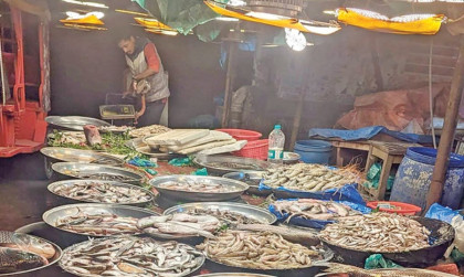 দেশী মাছের চাহিদা বেড়েছে, উচ্চ দামে ক্রেতার হাঁসফাঁস

