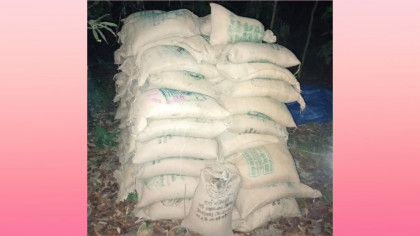 সিরাজগঞ্জ কাজিপুরে অভিযান: জঙ্গলে ৯৫ বস্তা সরকারি চাল উদ্ধার