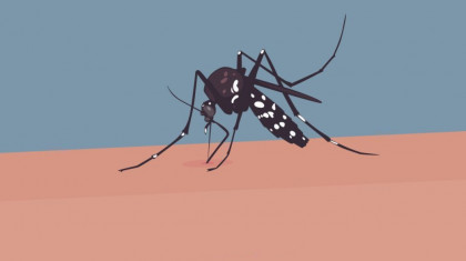 চলতি বছরে ডেঙ্গু আক্রান্ত ১,৬৬৮, গত ২৪ ঘণ্টায় হাসপাতালে ভর্তি ১৪