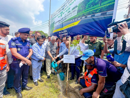 কেরানীগঞ্জে বৃক্ষরোপণ কর্মসূচি: প্রতিশ্রুতি বাস্তবায়নে কাজ করছে বিএনপি-আমান