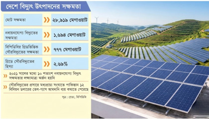 সৌরবিদ্যুতে এগিয়ে পাকিস্তান, পিছিয়ে বাংলাদেশ: বাড়ছে জ্বালানি ঝুঁকি