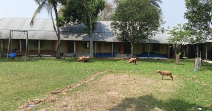 শিক্ষার্থীর তুলনায় শিক্ষক বেশি: জয়পুরহাটের এক মাদ্রাসায় অনিয়মের অভিযোগ