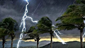 বজ্রপাতে দুই জেলায় ৭ জনের মৃত্যু