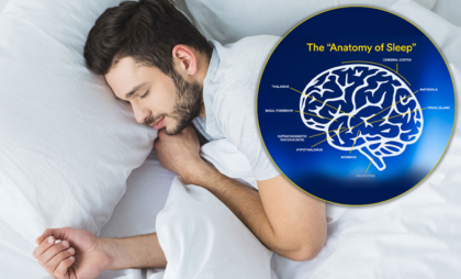 মস্তিষ্ক সুস্থ রাখতে কত ঘণ্টা ঘুম জরুরি