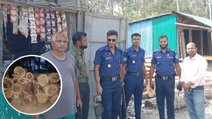 বনদস্যুদের গুলি ছুড়ে প্রতিরোধ, বাঁশখালীতে কাঠসহ ডাম্পার জব্দ