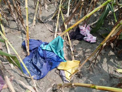 নীলফামারীতে ভুট্টা ক্ষেতে পুলিশের পোশাক ও সরঞ্জাম উদ্ধার