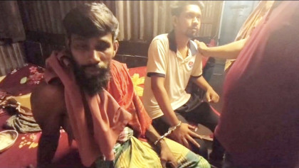 পিরোজপুরে গাঁজার গাছসহ দুই যুবক গ্রেফতার